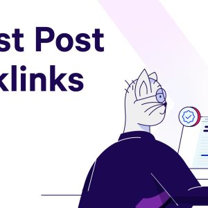 12 Guest Post Backlink B